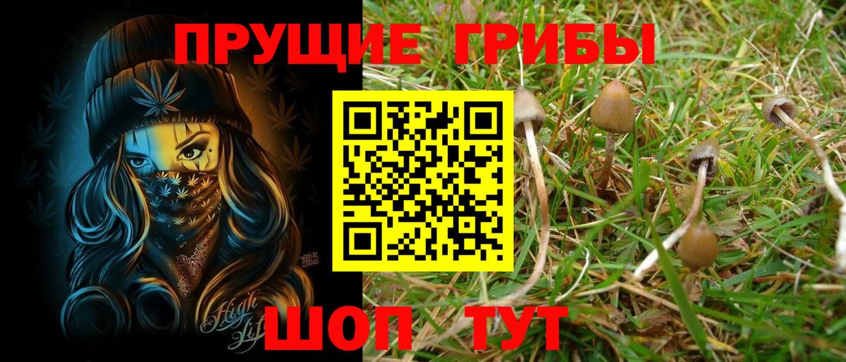 Рубцовск  закладки  Вход с VPN  Псилоцибиновые грибы ЛСД 
